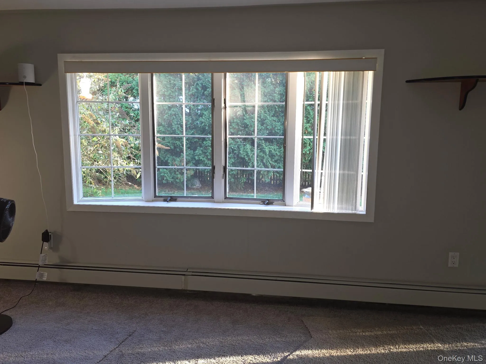Carpeted empty room with baseboard heating Carpeted empty room with baseboard heating