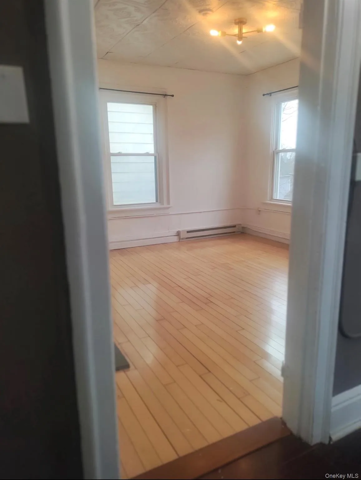 Empty room featuring healthy amount of natural light, a baseboard radiator, and light wood-style flooring Empty room featuring healthy amount of natural light, a baseboard radiator, and light wood-style flooring