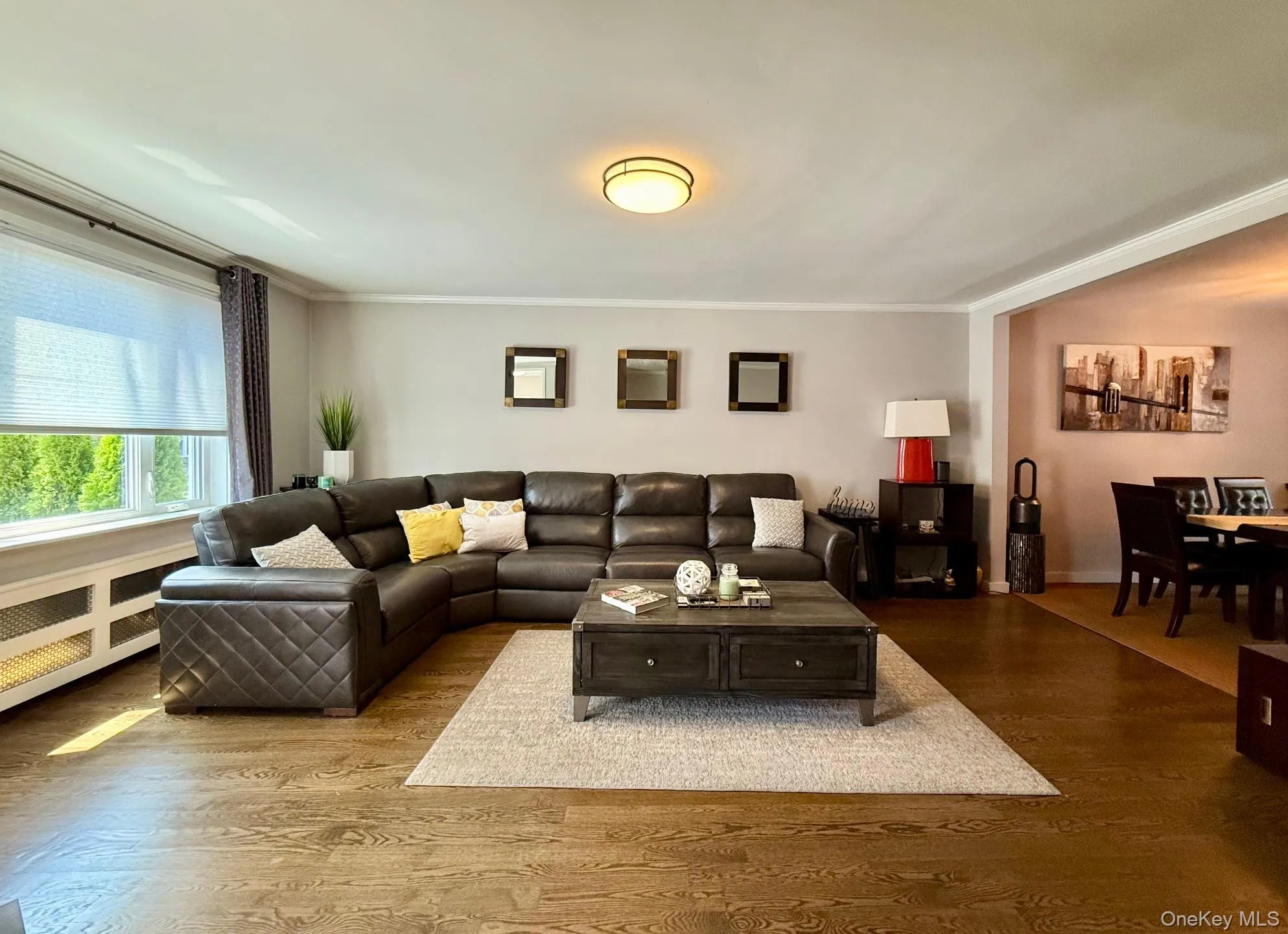 Living room featuring wood finished floors and ornamental molding Living room featuring wood finished floors and ornamental molding