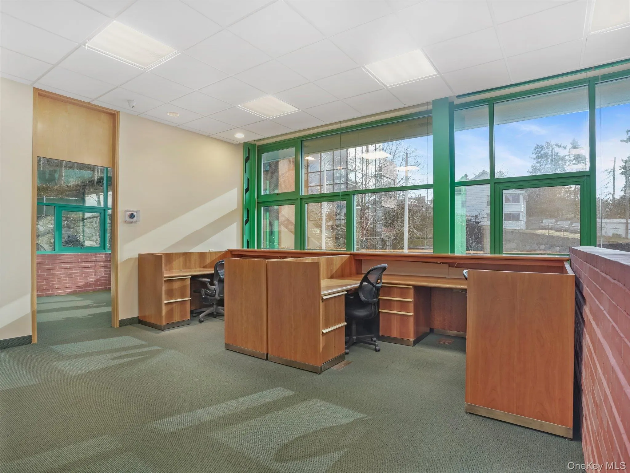 Office featuring a drop ceiling and carpet floors Office featuring a drop ceiling and carpet floors