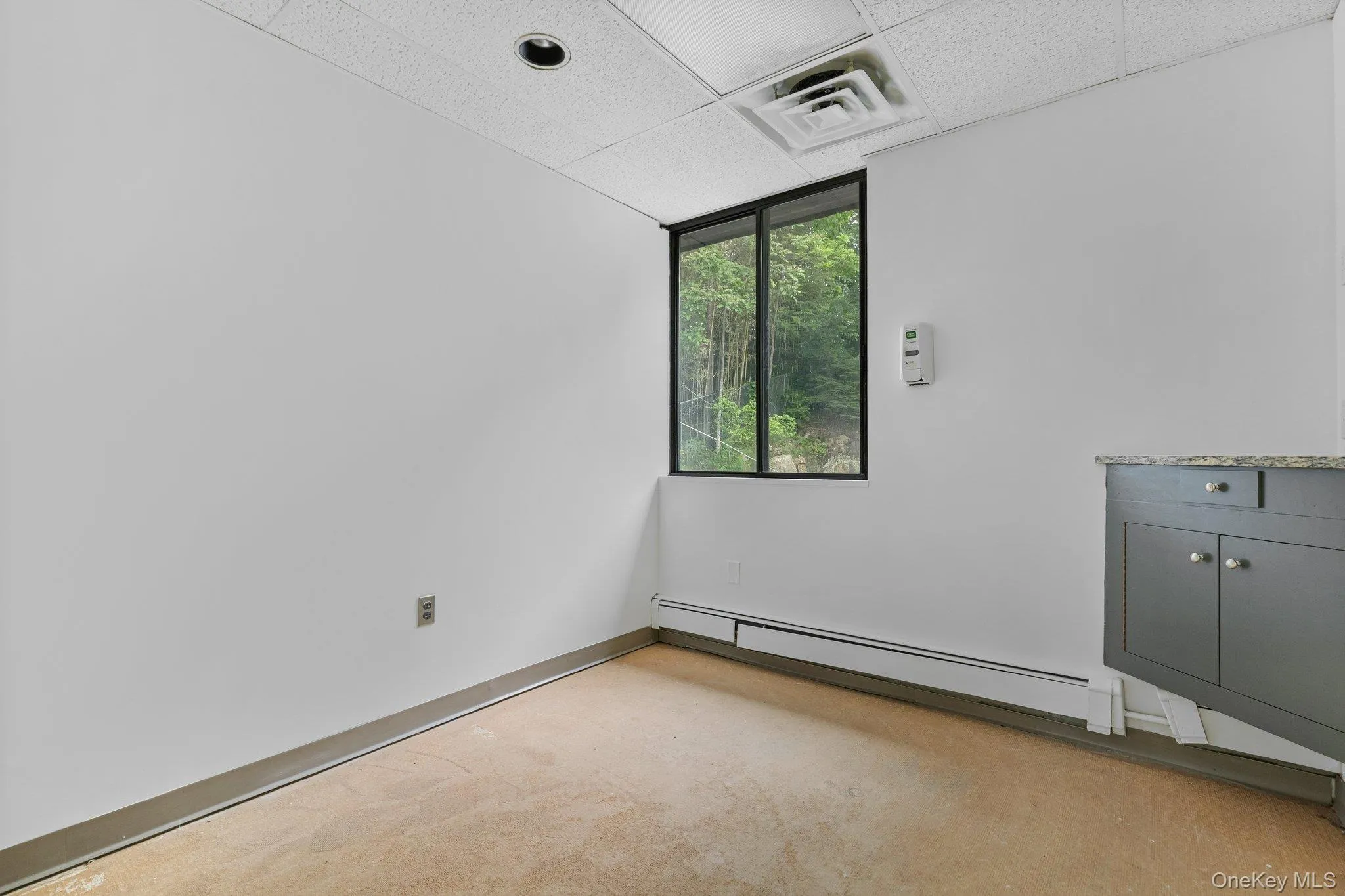 Unfurnished room featuring a baseboard radiator, light colored carpet, and a paneled ceiling Unfurnished room featuring a baseboard radiator, light colored carpet, and a paneled ceiling