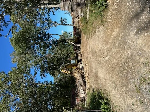View of yard View of yard