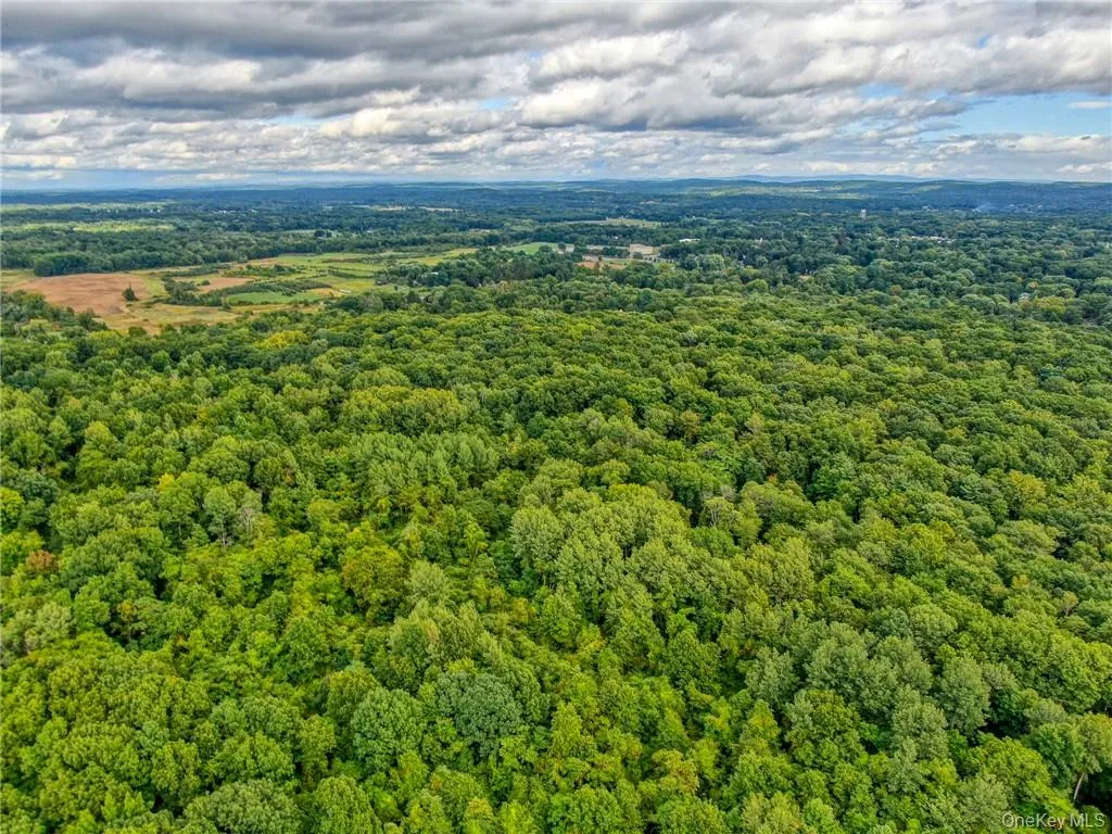 Bird's eye view Bird's eye view
