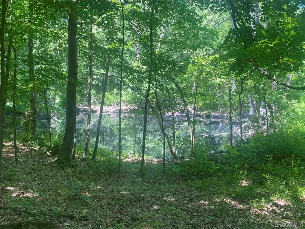 View of local wilderness with a water view View of local wilderness with a water view