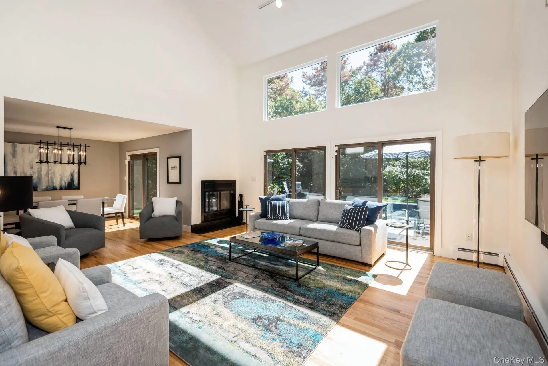 Living room with light wood finished floors, a towering ceiling, and a baseboard radiator Living room with light wood finished floors, a towering ceiling, and a baseboard radiator