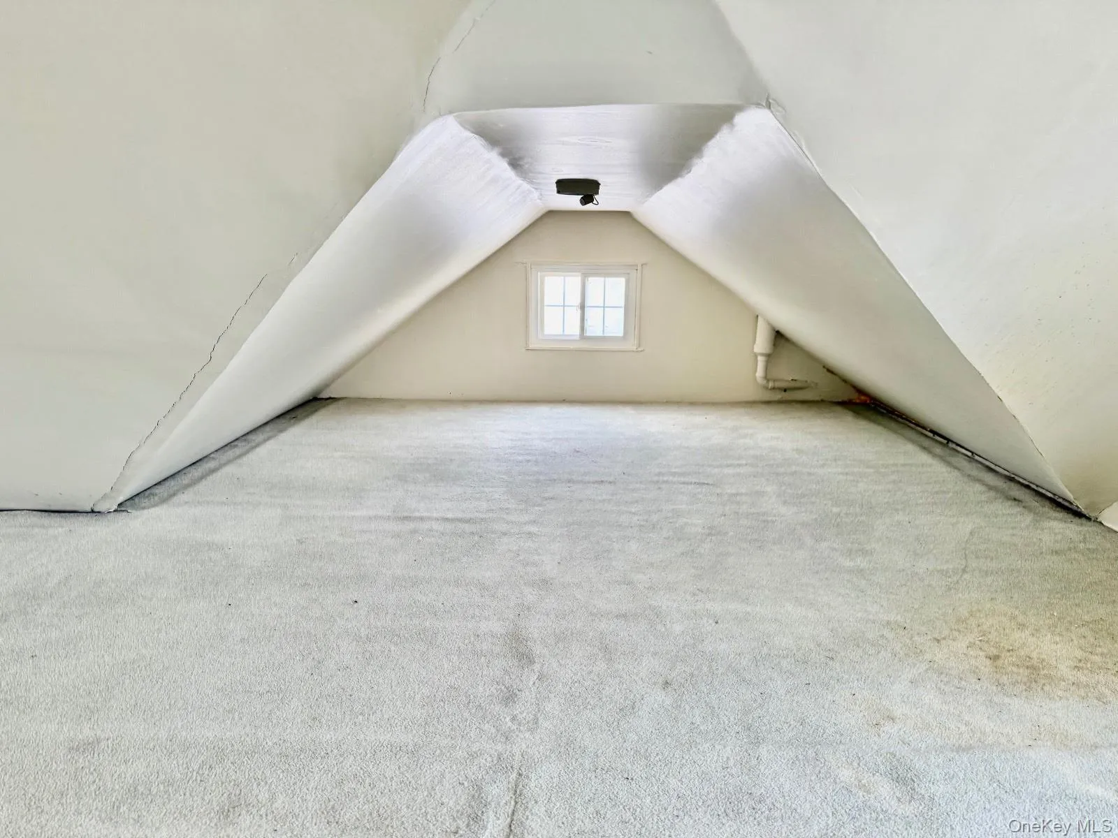 Additional living space featuring lofted ceiling and carpet floors Additional living space featuring lofted ceiling and carpet floors