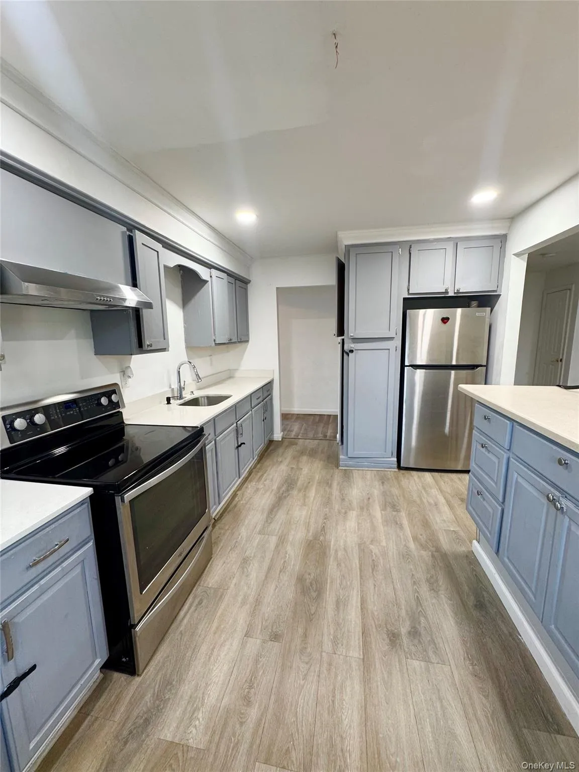 Kitchen featuring stainless steel appliances, gray cabinetry, light wood-style floors, under cabinet range hood, and recessed lighting Kitchen featuring stainless steel appliances, gray cabinetry, light wood-style floors, under cabinet range hood, and recessed lighting