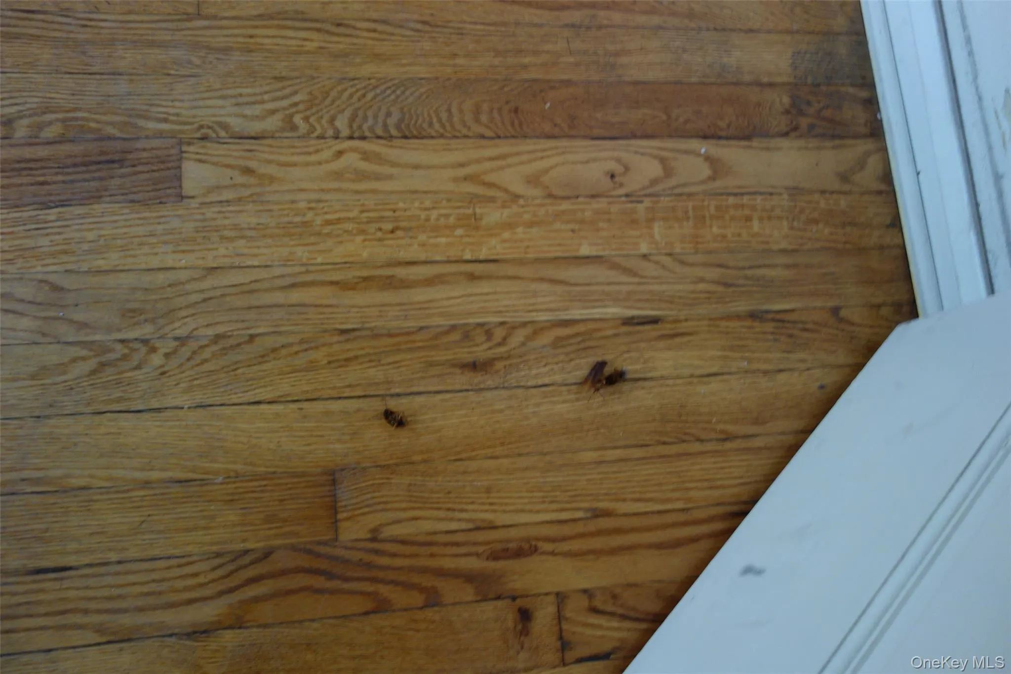 Detailed view Detailed view