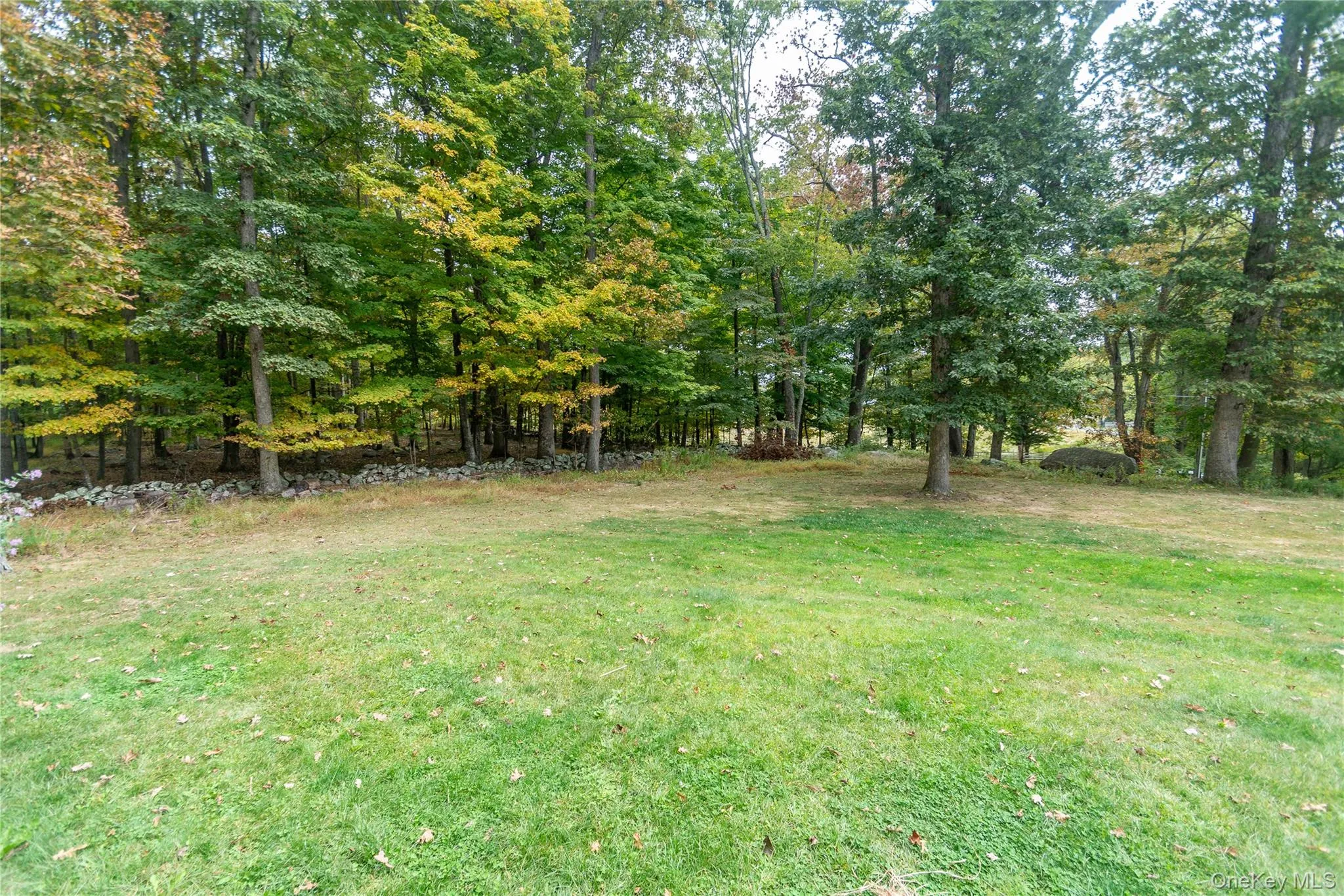 View of green lawn with view of scattered trees View of green lawn with view of scattered trees