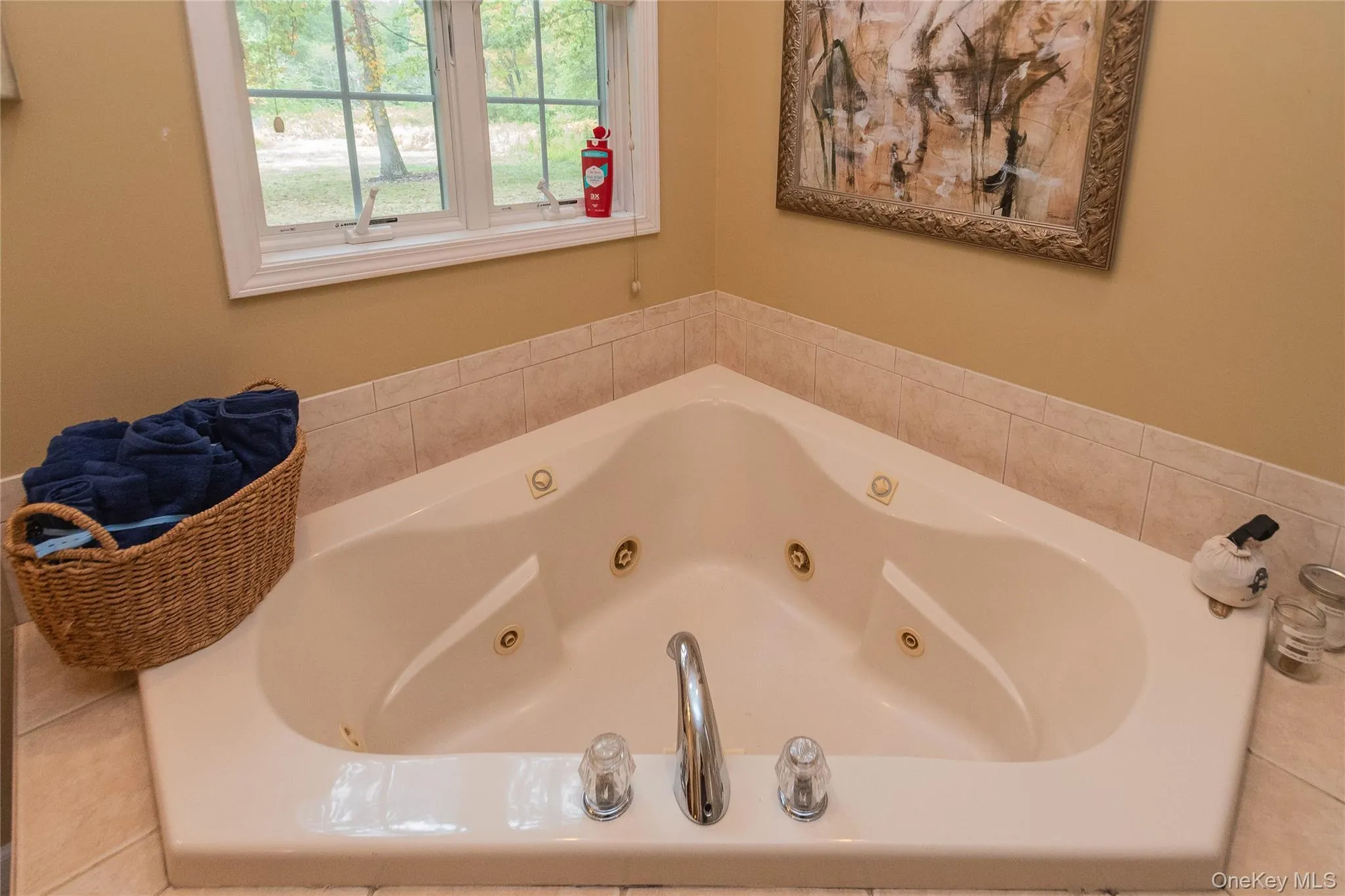 Bathroom with a jetted tub Bathroom with a jetted tub
