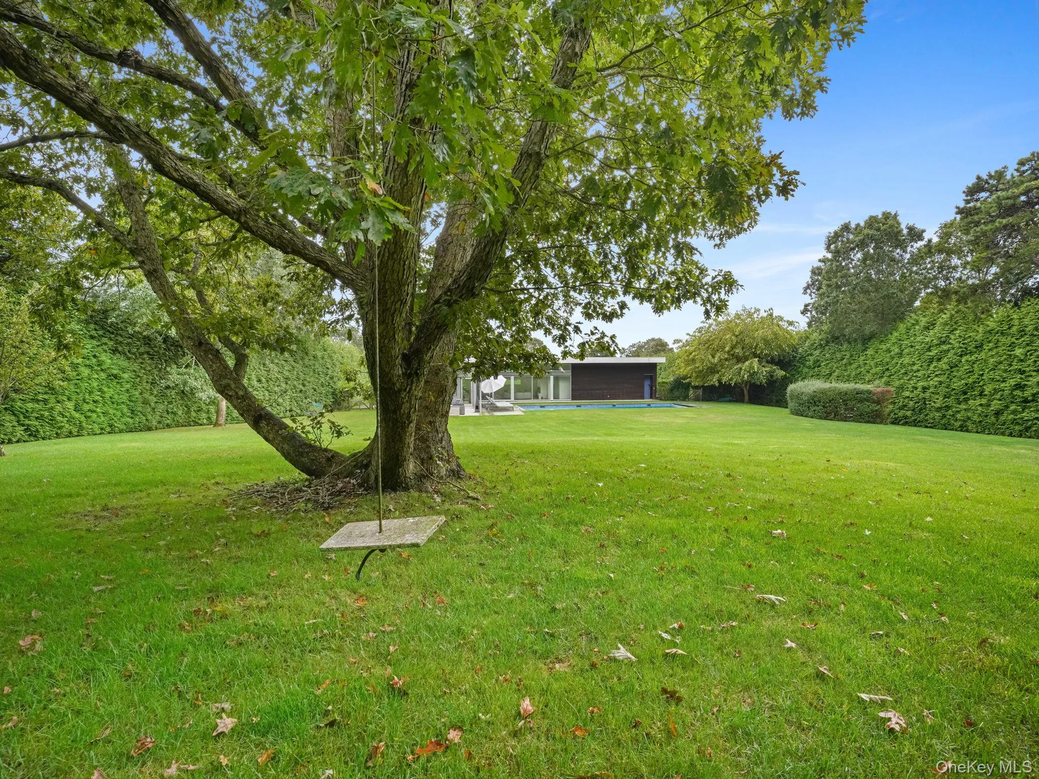 View of green lawn View of green lawn