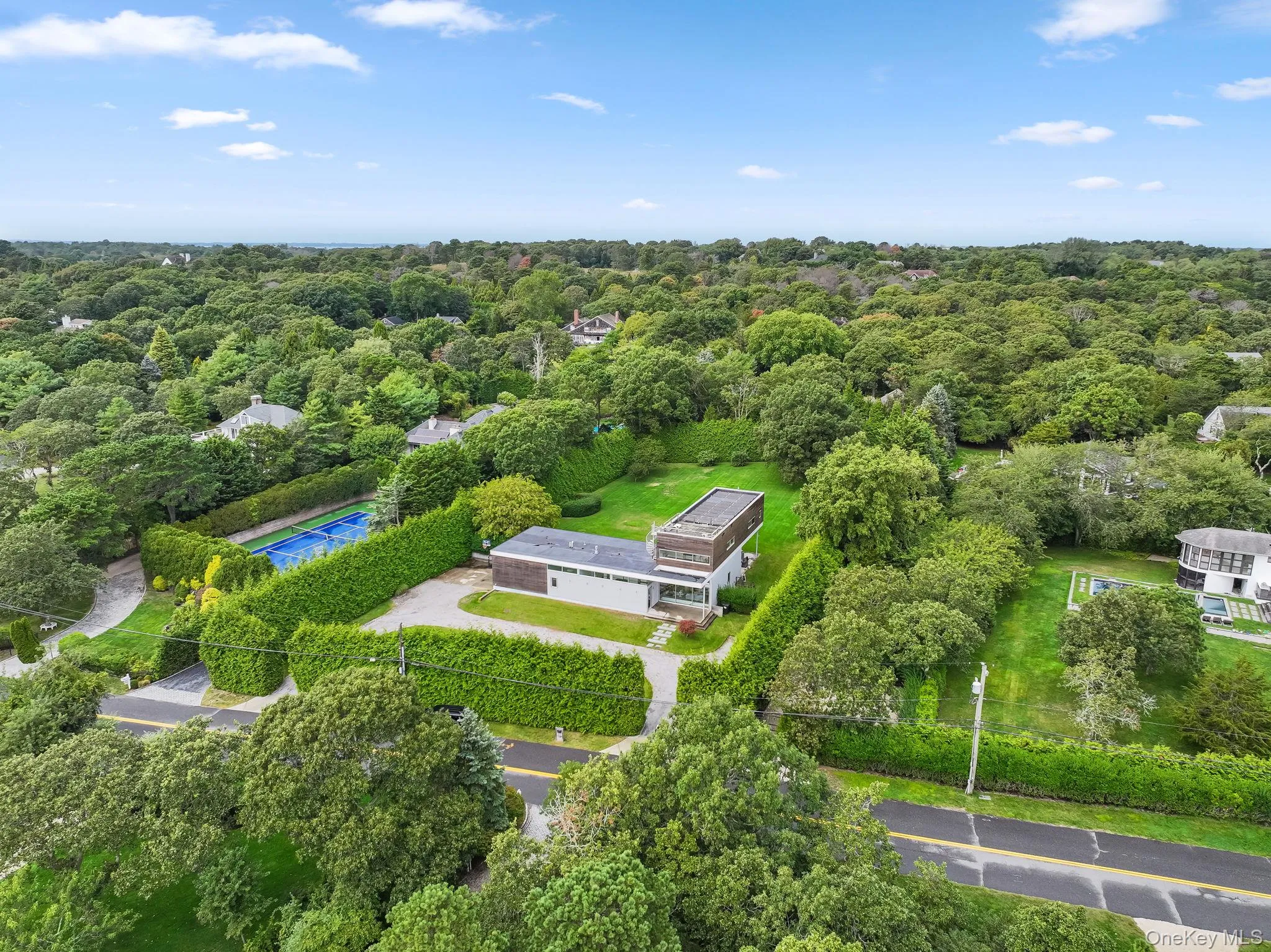 Drone / aerial view of a forest Drone / aerial view of a forest