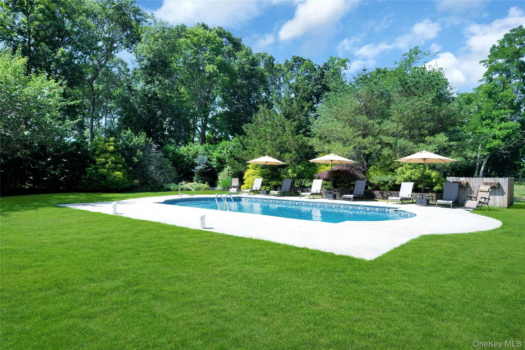 Outdoor pool featuring a patio, a yard, and view of wooded area Outdoor pool featuring a patio, a yard, and view of wooded area