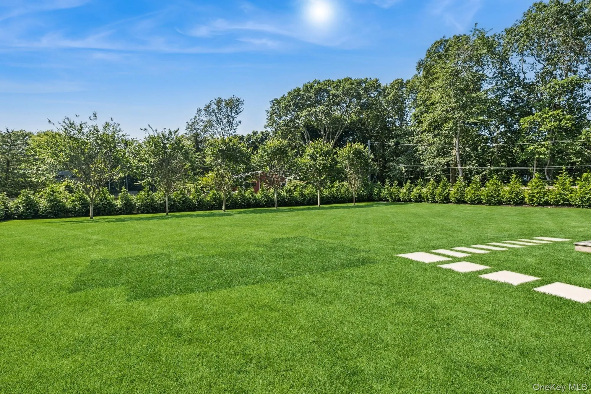 View of grassy yard featuring view of wooded area View of grassy yard featuring view of wooded area