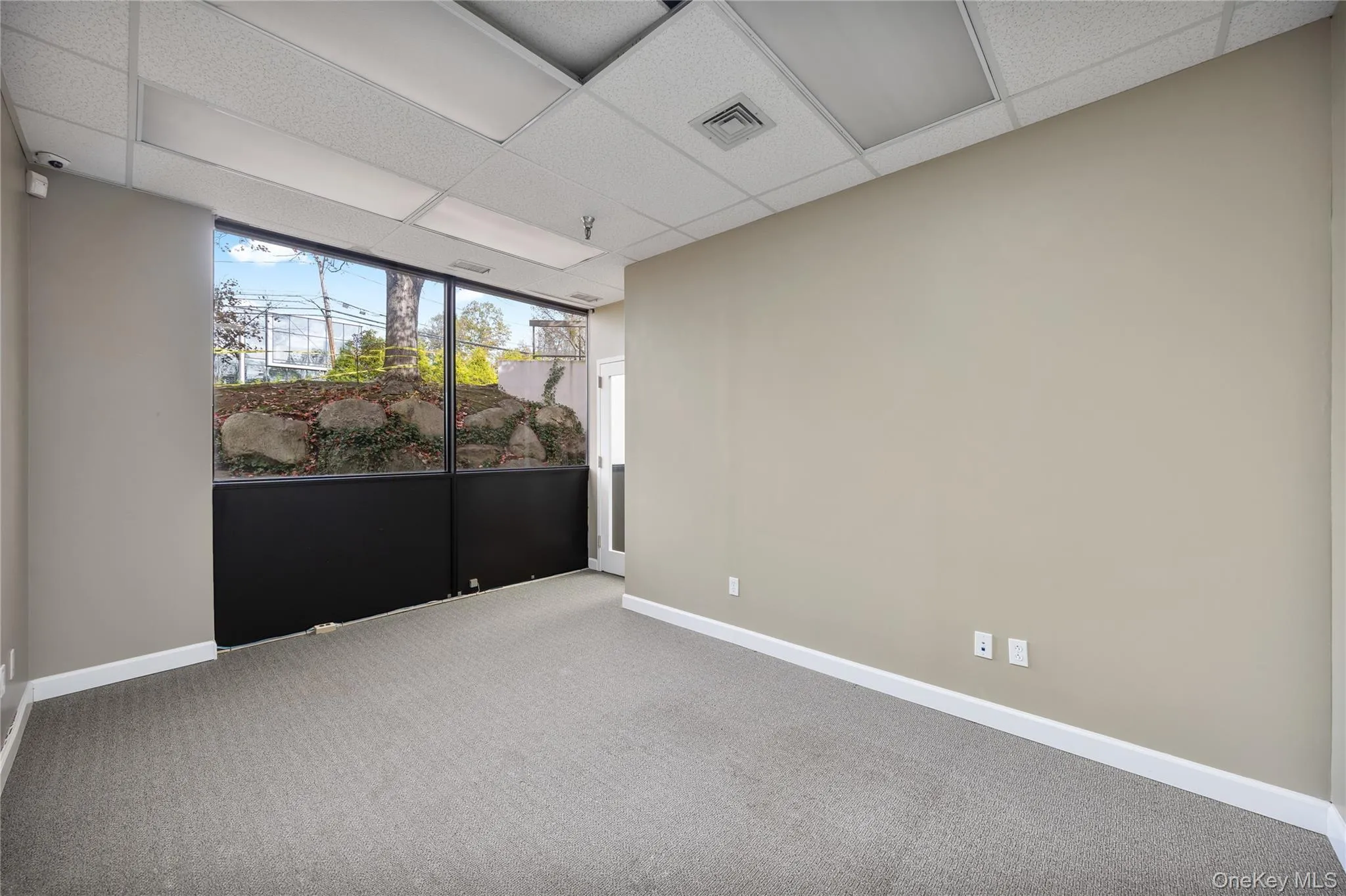 Carpeted spare room featuring baseboards and a paneled ceiling Carpeted spare room featuring baseboards and a paneled ceiling