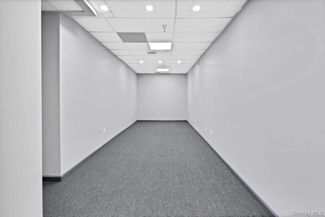 Spare room with a drop ceiling and carpet Spare room with a drop ceiling and carpet