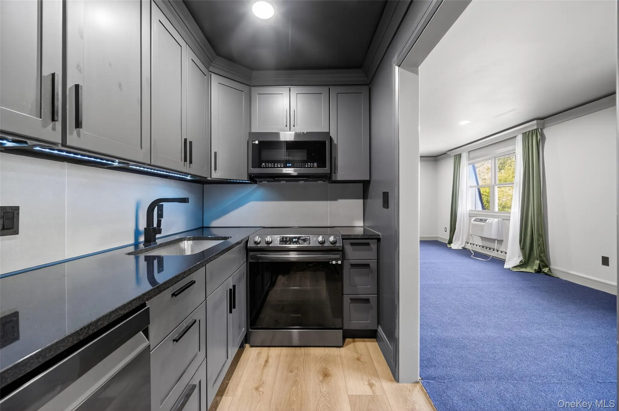 Kitchen with appliances with stainless steel finishes, dark stone countertops, gray cabinets, light colored carpet, and recessed lighting Kitchen with appliances with stainless steel finishes, dark stone countertops, gray cabinets, light colored carpet, and recessed lighting
