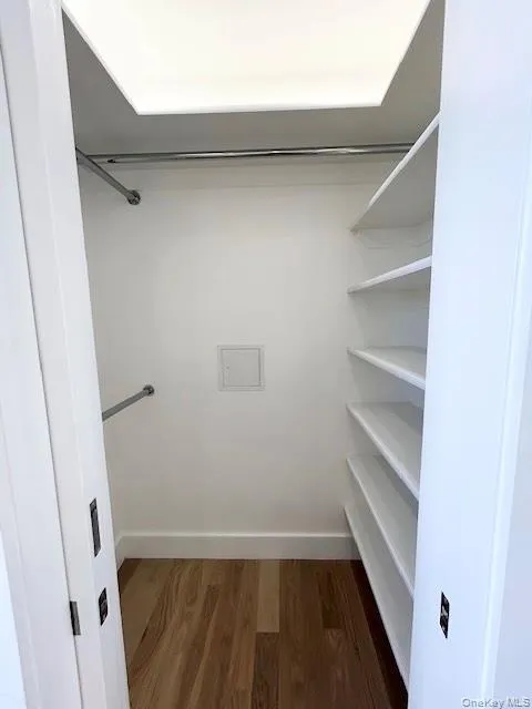 Spacious closet featuring dark wood-style flooring Spacious closet featuring dark wood-style flooring
