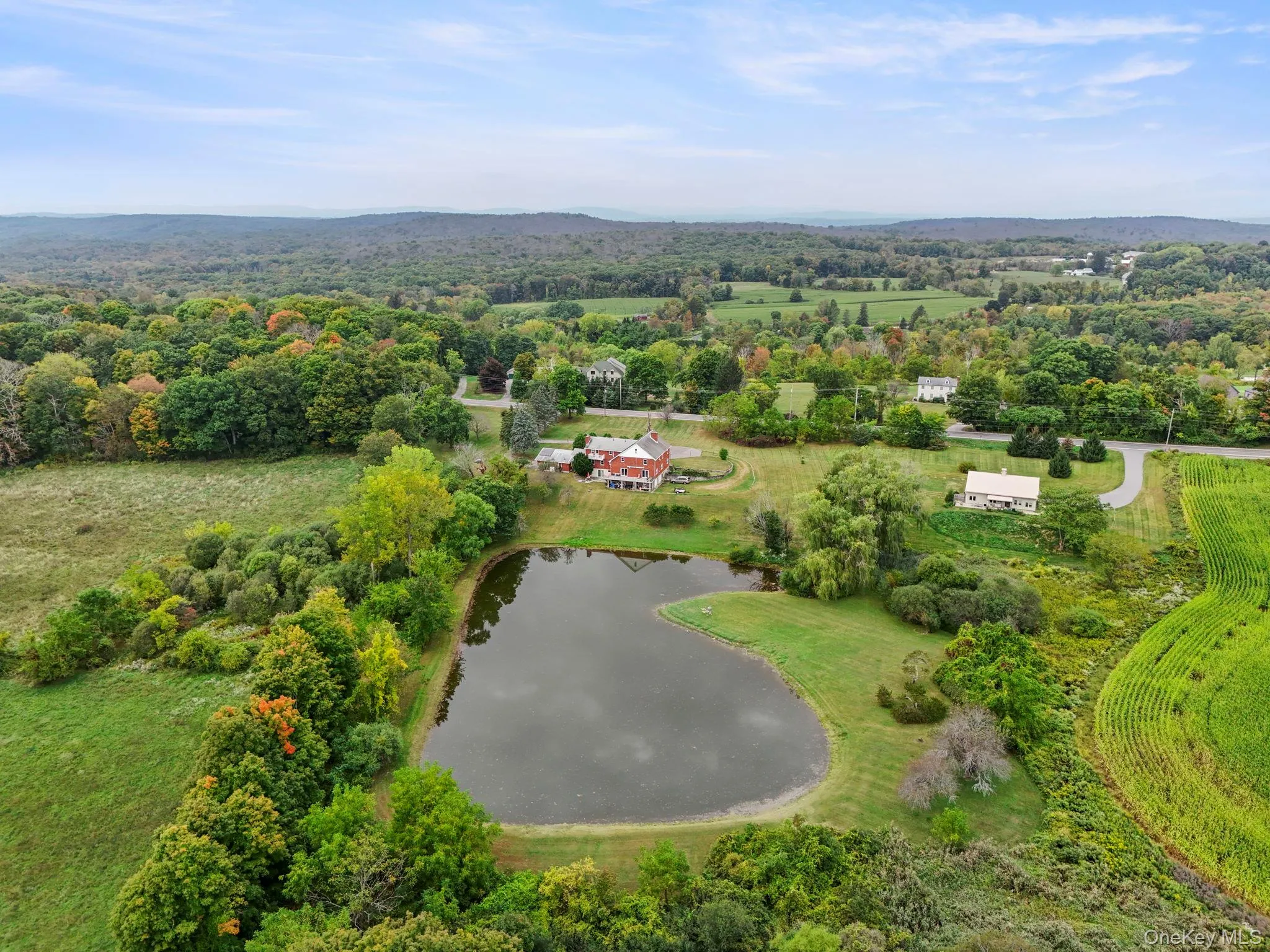 Aerial view of a nearby body of water and a forest Aerial view of a nearby body of water and a forest