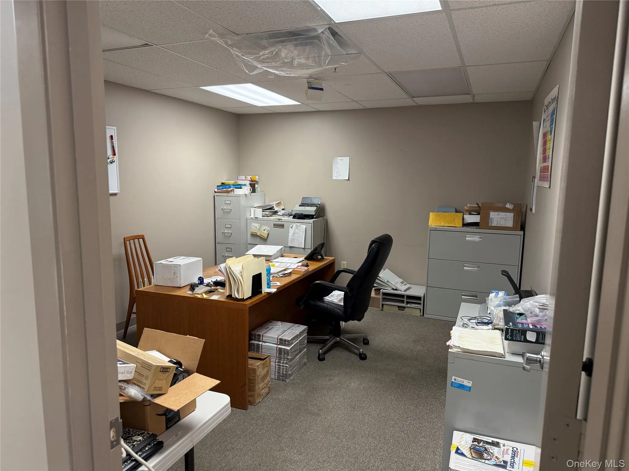 Home office featuring light carpet and a paneled ceiling Home office featuring light carpet and a paneled ceiling