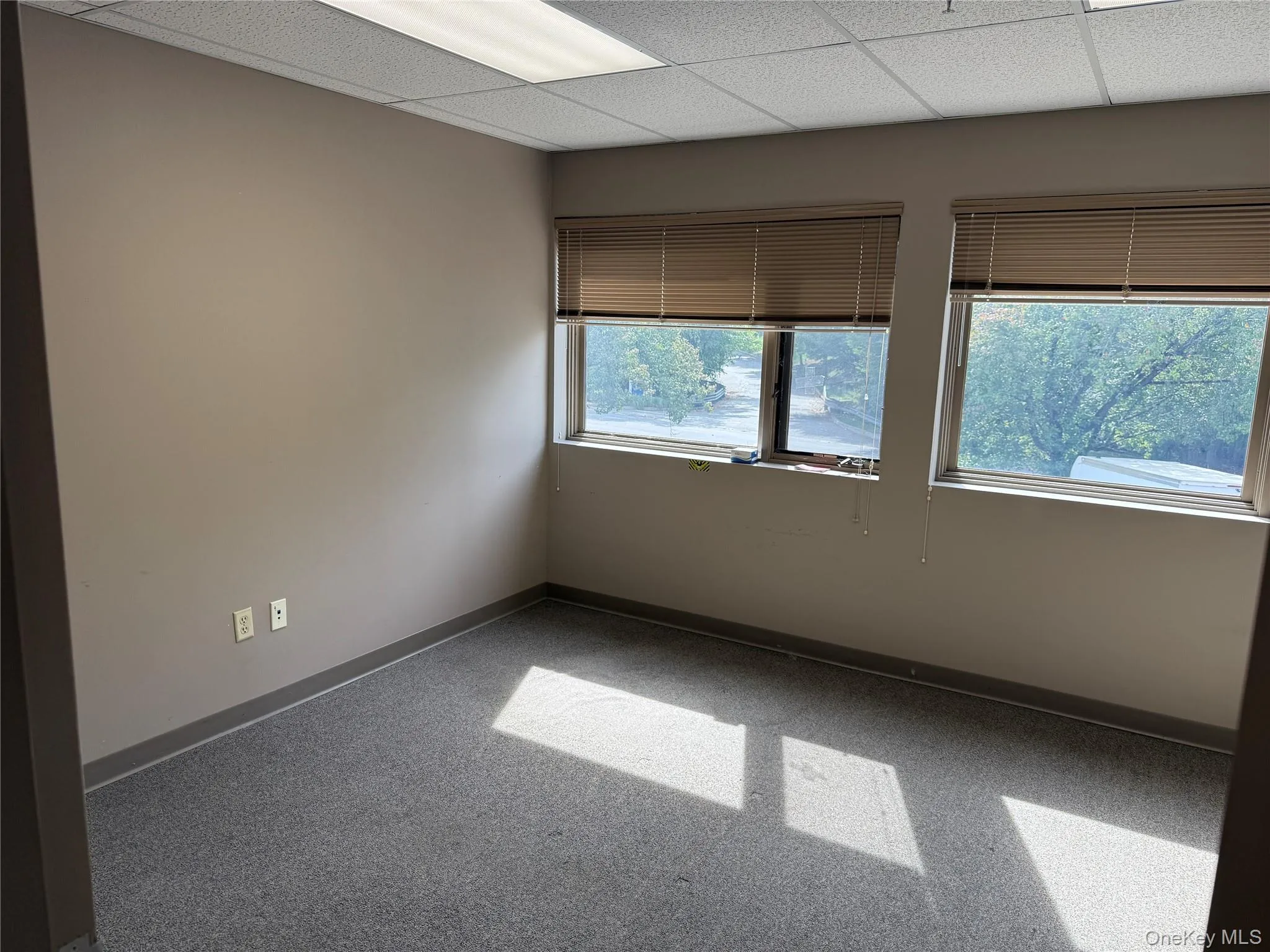 Unfurnished room with a paneled ceiling and carpet Unfurnished room with a paneled ceiling and carpet