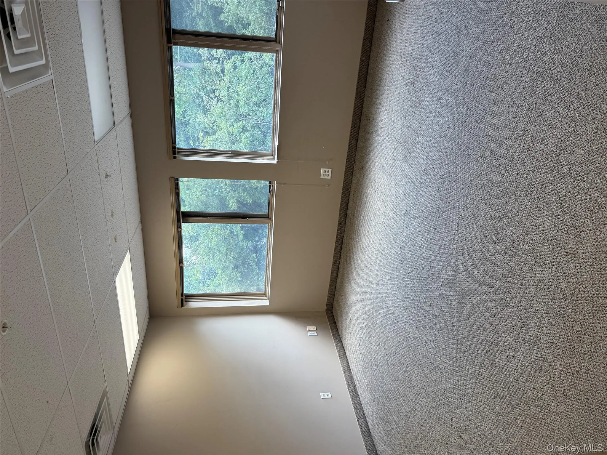 Unfurnished room featuring a paneled ceiling and carpet Unfurnished room featuring a paneled ceiling and carpet