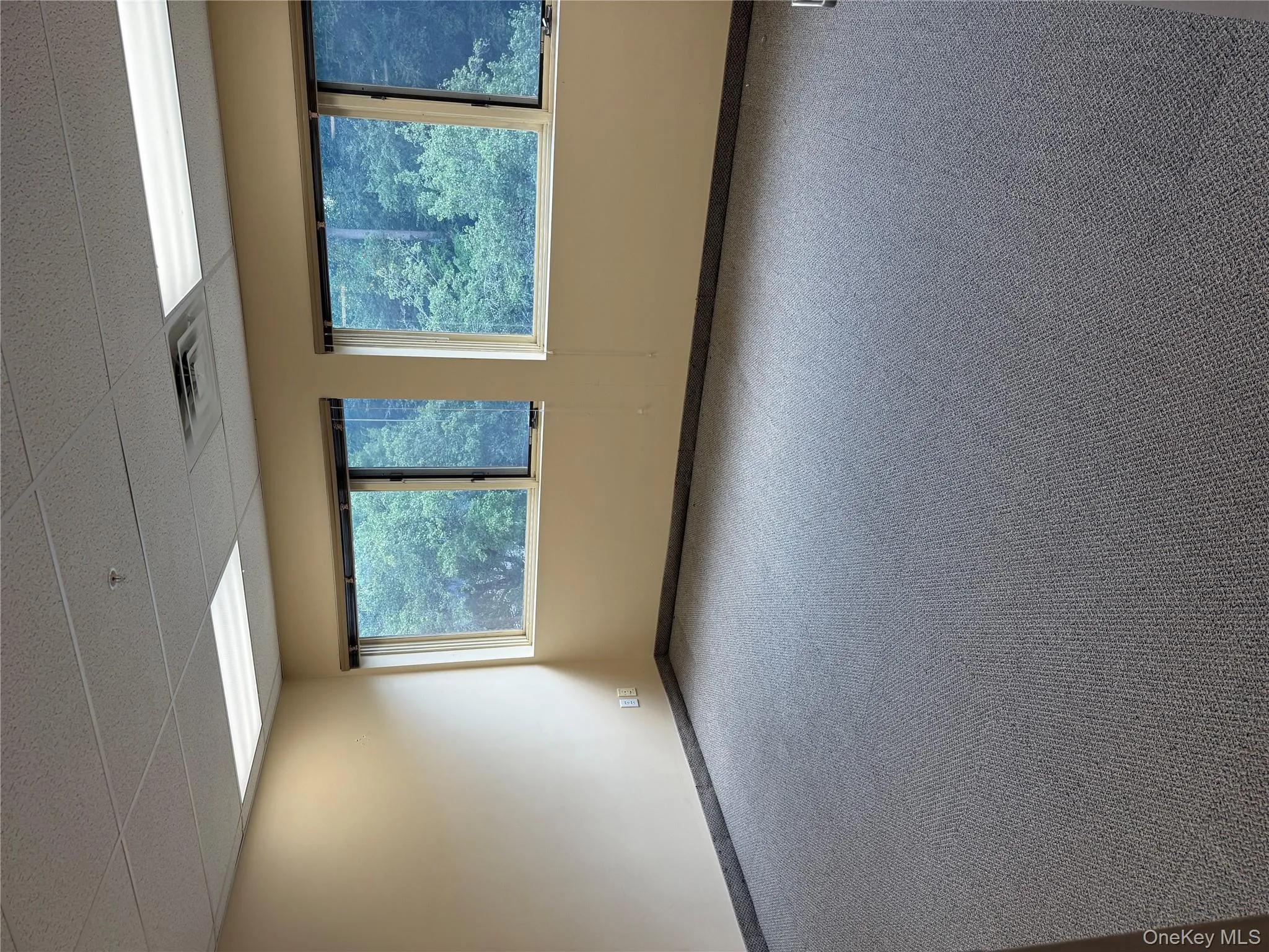 Unfurnished room with carpet floors and a paneled ceiling Unfurnished room with carpet floors and a paneled ceiling