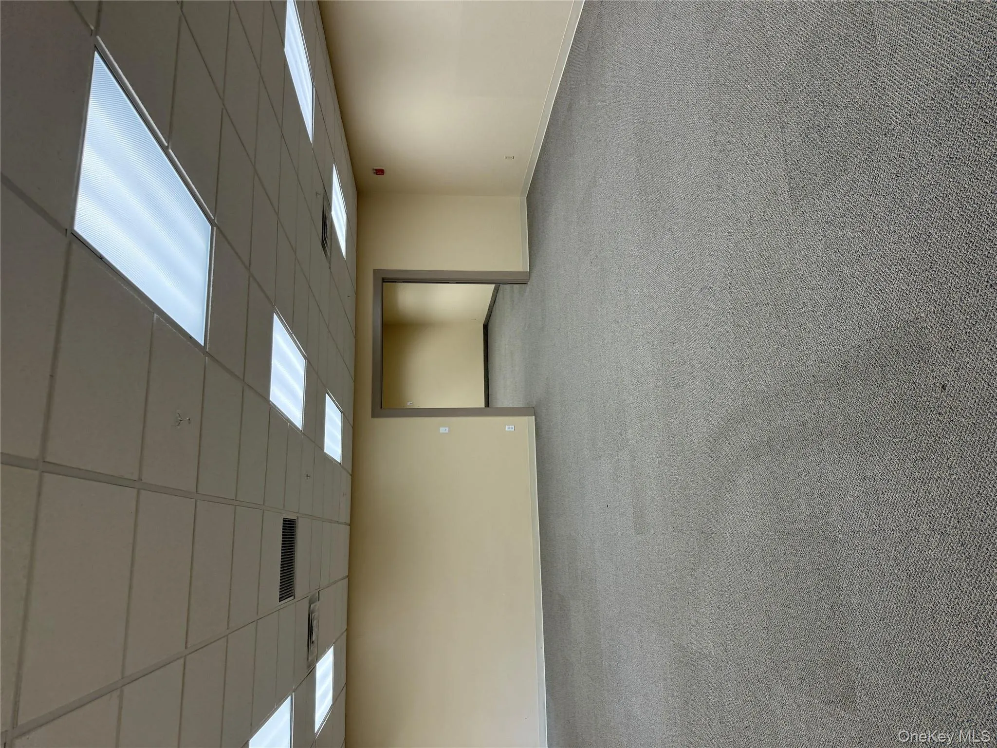 Spare room featuring carpet and a drop ceiling Spare room featuring carpet and a drop ceiling