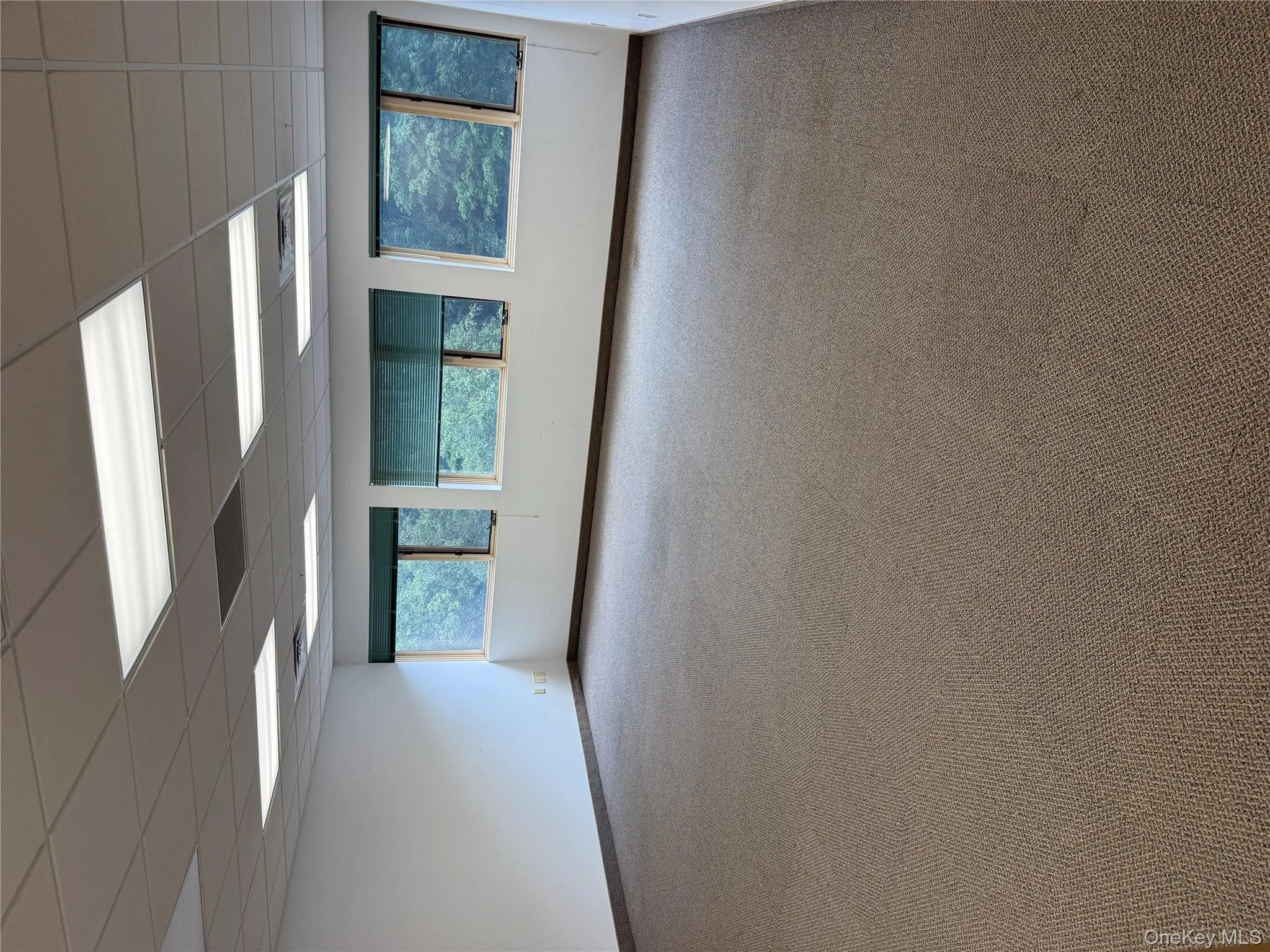Empty room featuring a paneled ceiling and light colored carpet Empty room featuring a paneled ceiling and light colored carpet