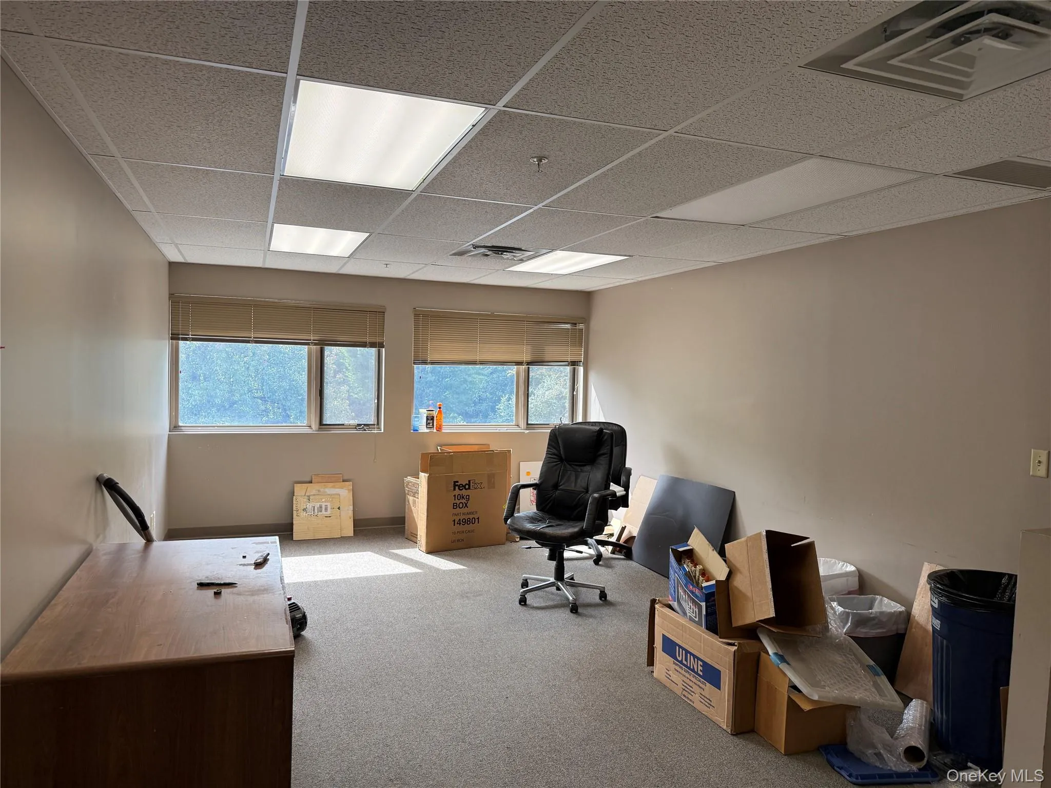 Office featuring a paneled ceiling and carpet Office featuring a paneled ceiling and carpet