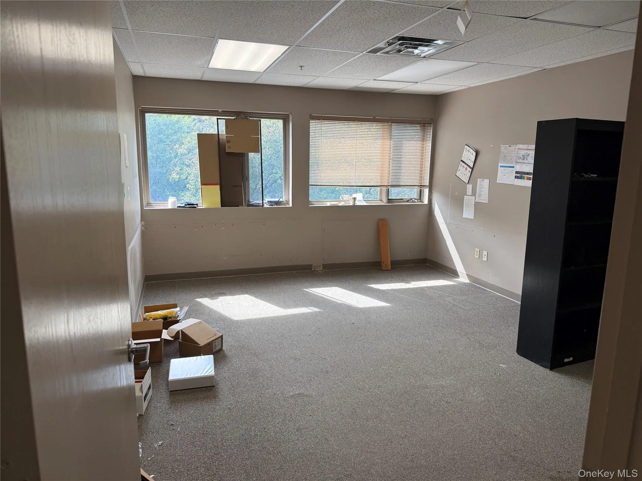 Empty room featuring a paneled ceiling and carpet Empty room featuring a paneled ceiling and carpet