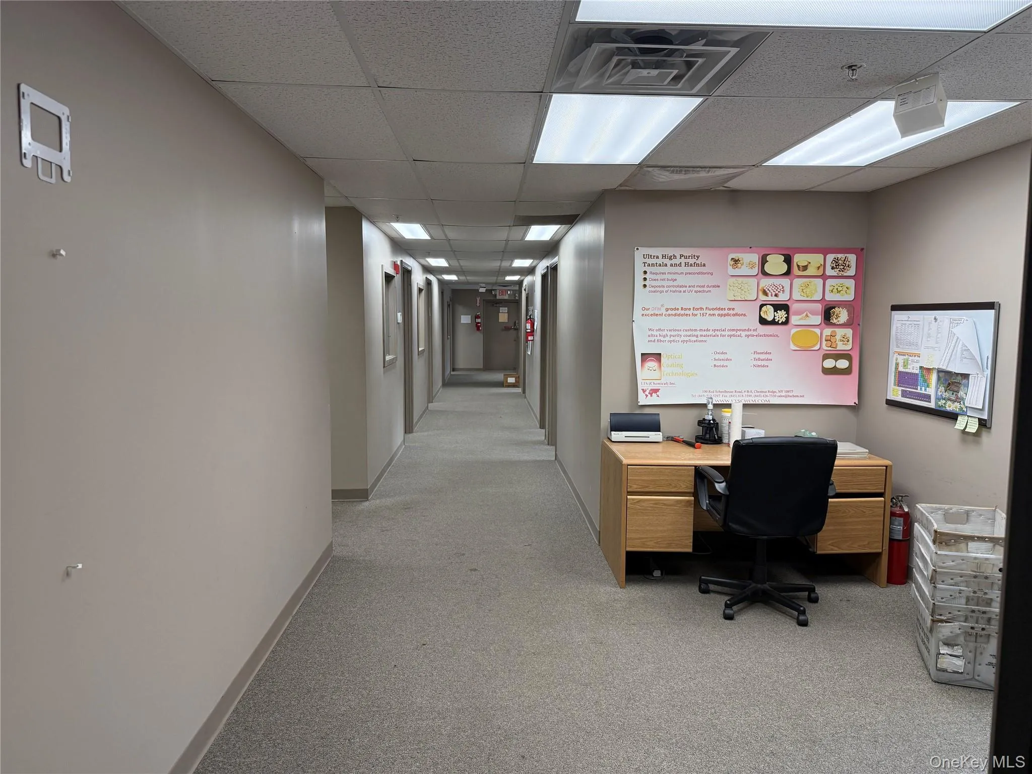 Office area featuring light carpet and a paneled ceiling Office area featuring light carpet and a paneled ceiling
