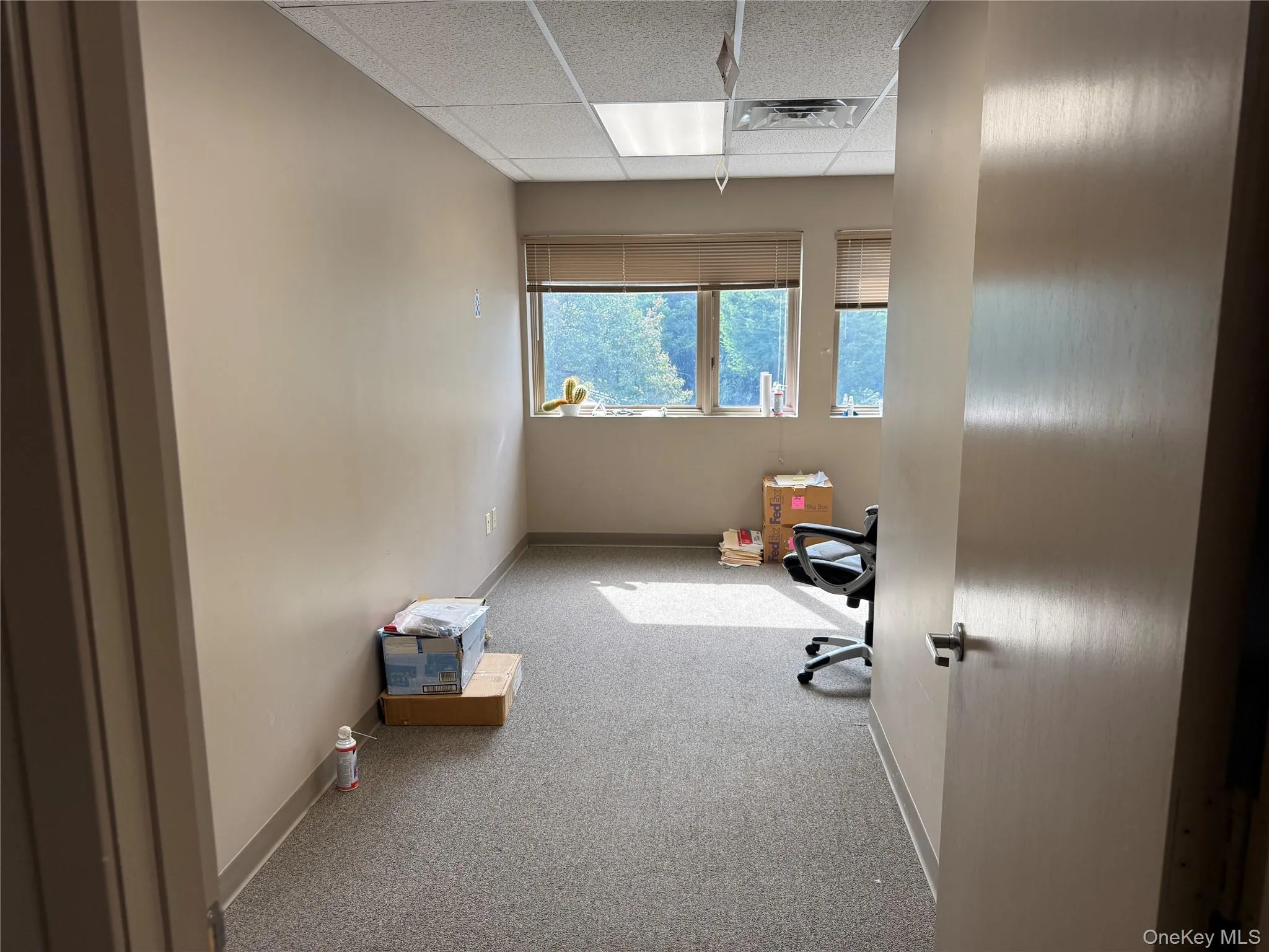 Unfurnished office featuring a drop ceiling and carpet Unfurnished office featuring a drop ceiling and carpet