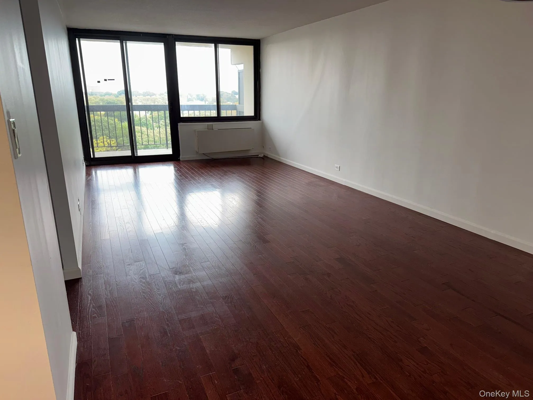 Unfurnished room with dark wood-type flooring and baseboards Unfurnished room with dark wood-type flooring and baseboards