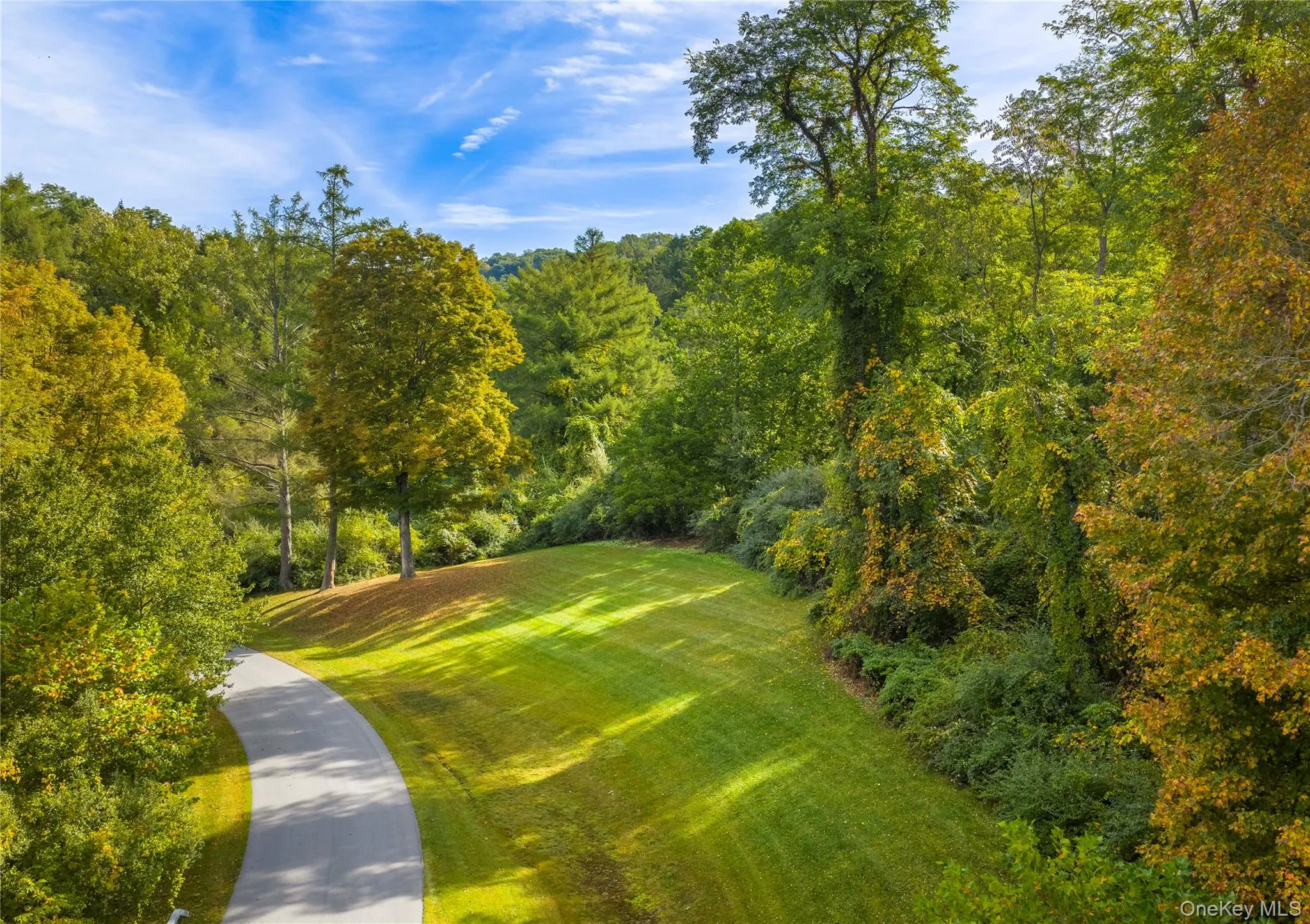 Surrounding community featuring a lawn and a wooded view Surrounding community featuring a lawn and a wooded view