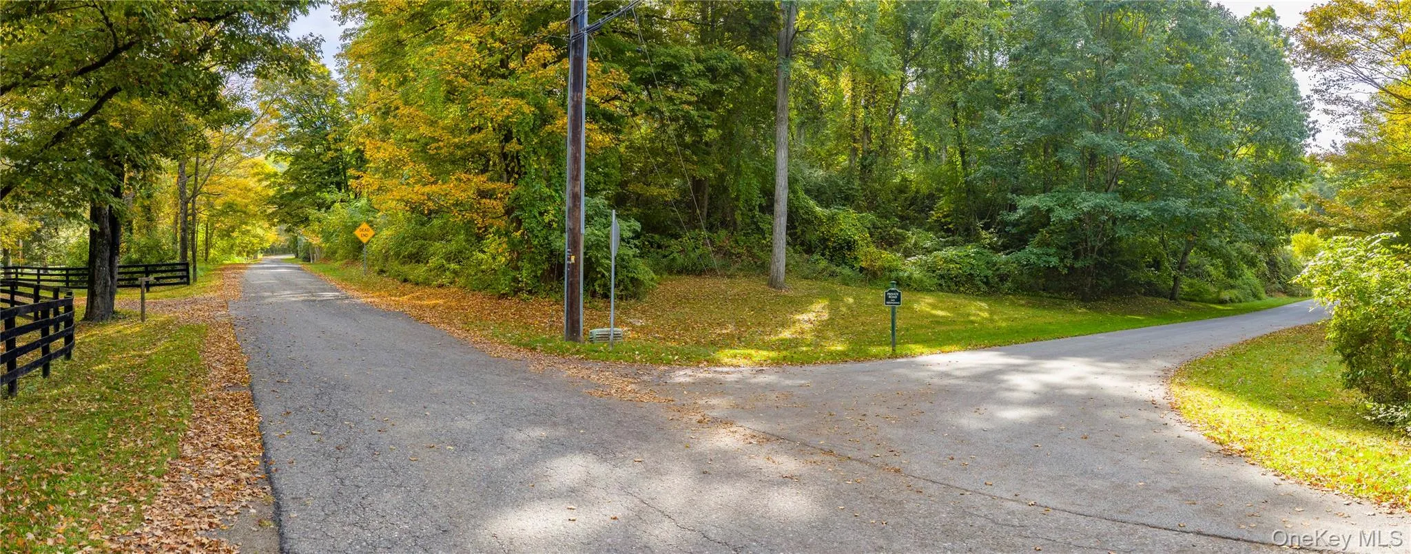 View of road featuring a view of trees View of road featuring a view of trees