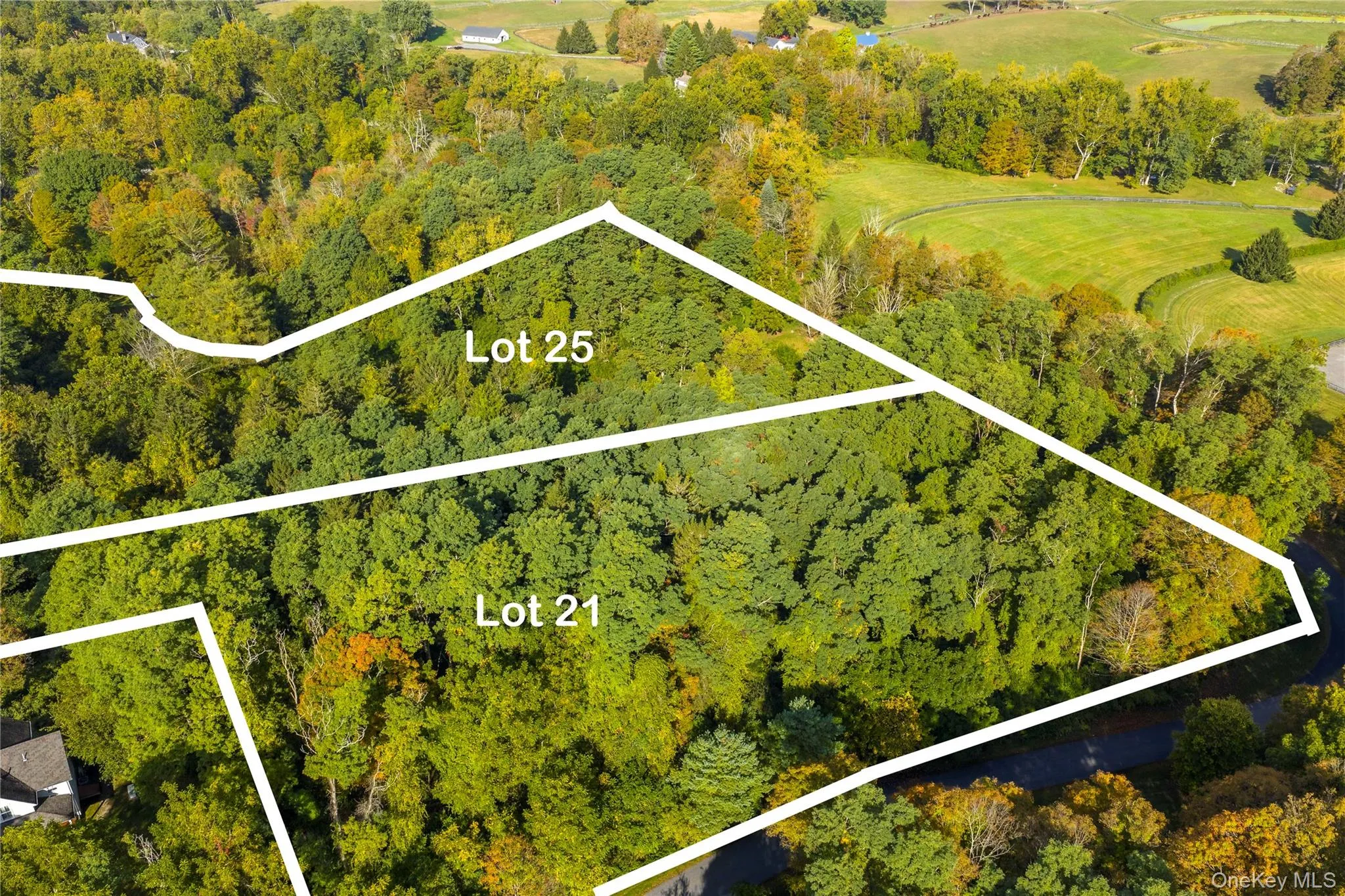 Aerial overview of property's location featuring a forest and property boundaries highlighted Aerial overview of property's location featuring a forest and property boundaries highlighted
