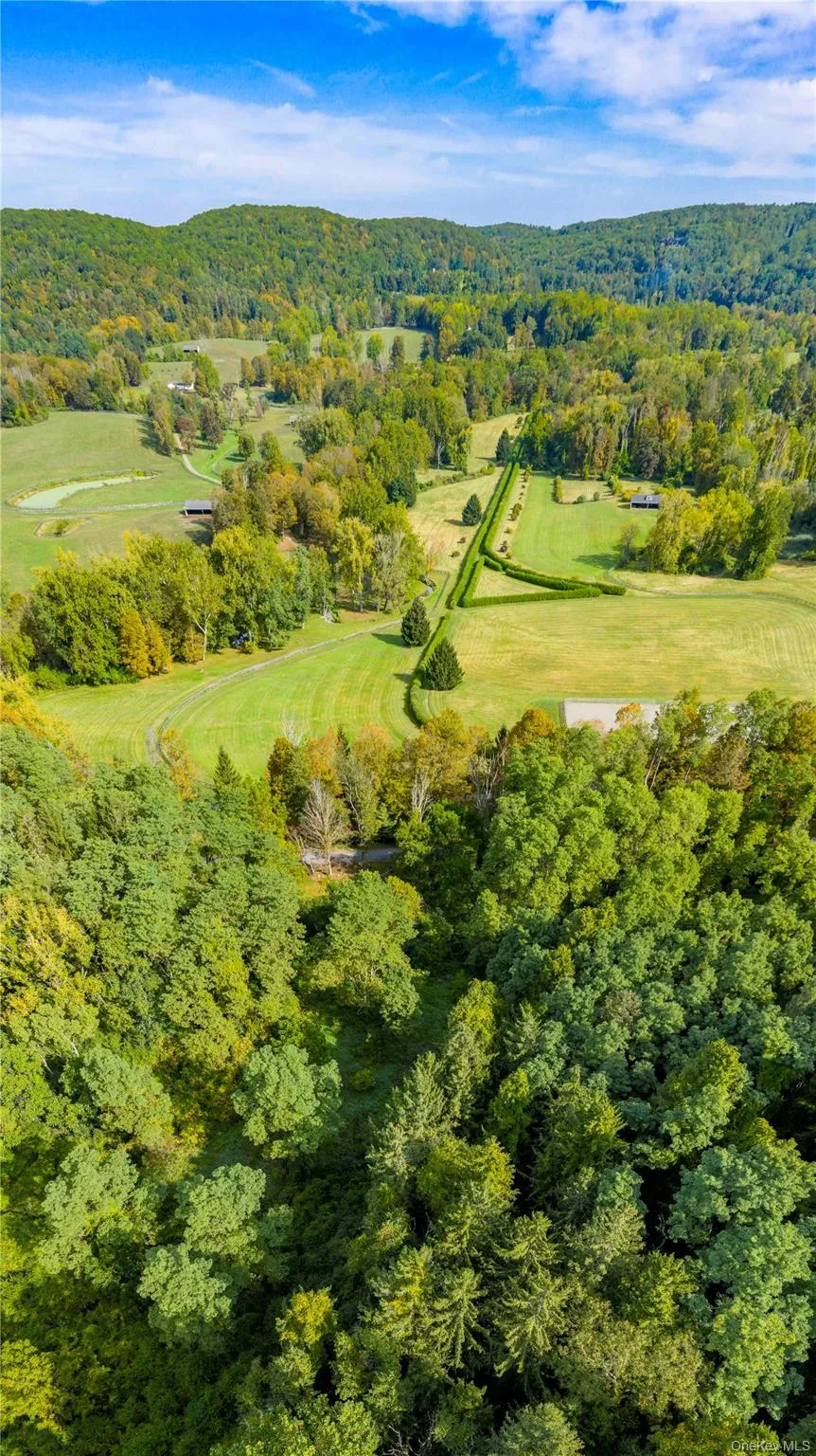 Drone / aerial view of a forest Drone / aerial view of a forest