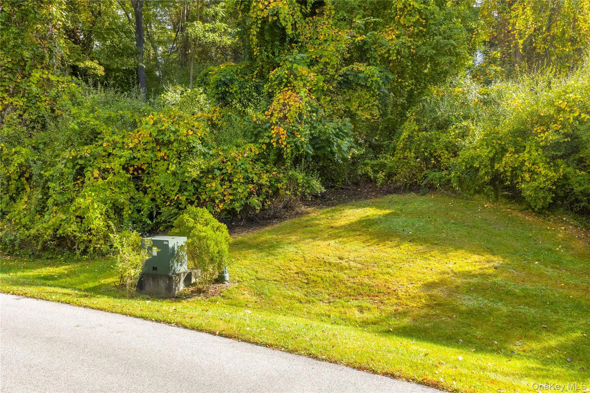 Lot 25 Brady Brook Farm Road, Pawling, NY, ,Land,For Rent,Brady Brook Farm,0,918929 Lot 25 Brady Brook Farm Road, Pawling, NY, ,Land,For Rent,Brady Brook Farm,0,918929