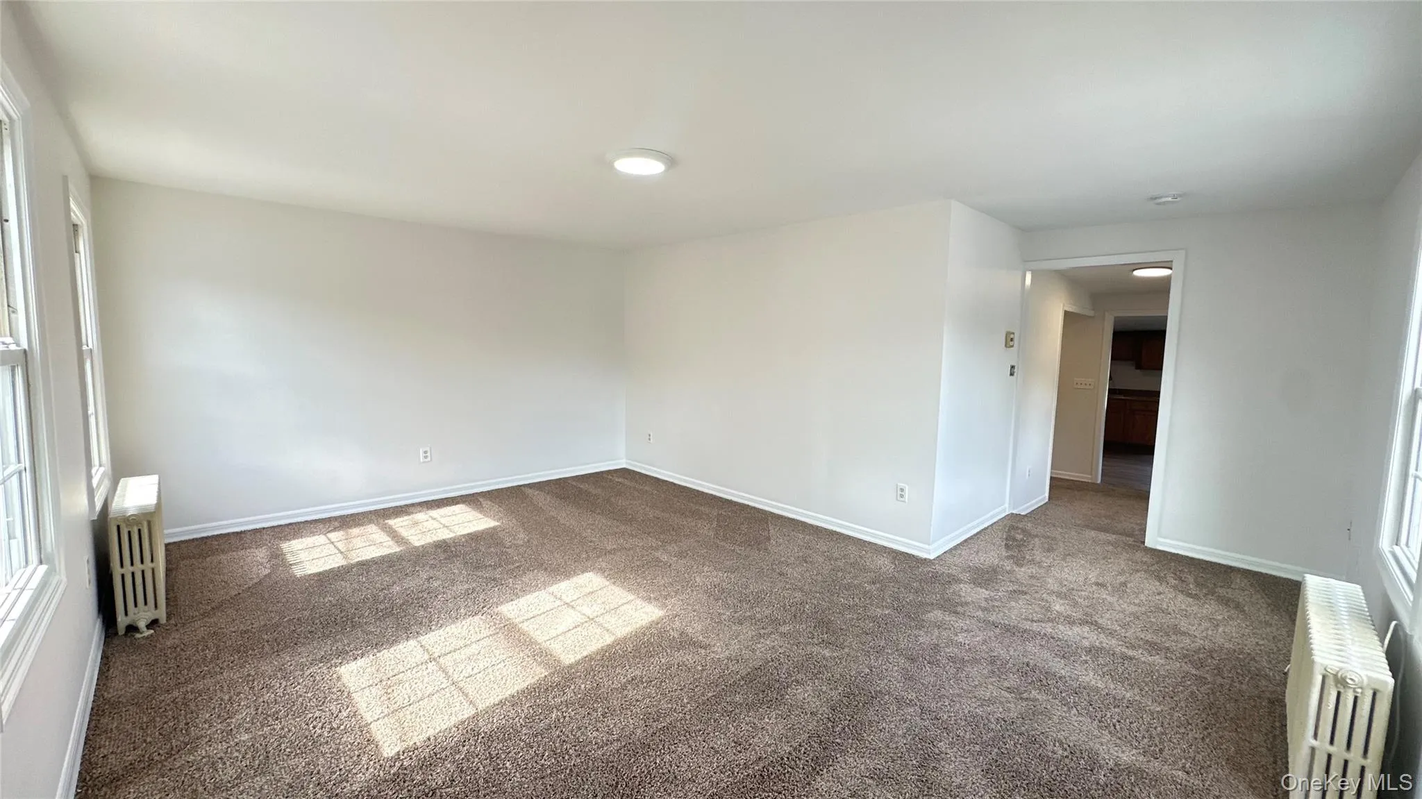 Enormous Living room Enormous Living room