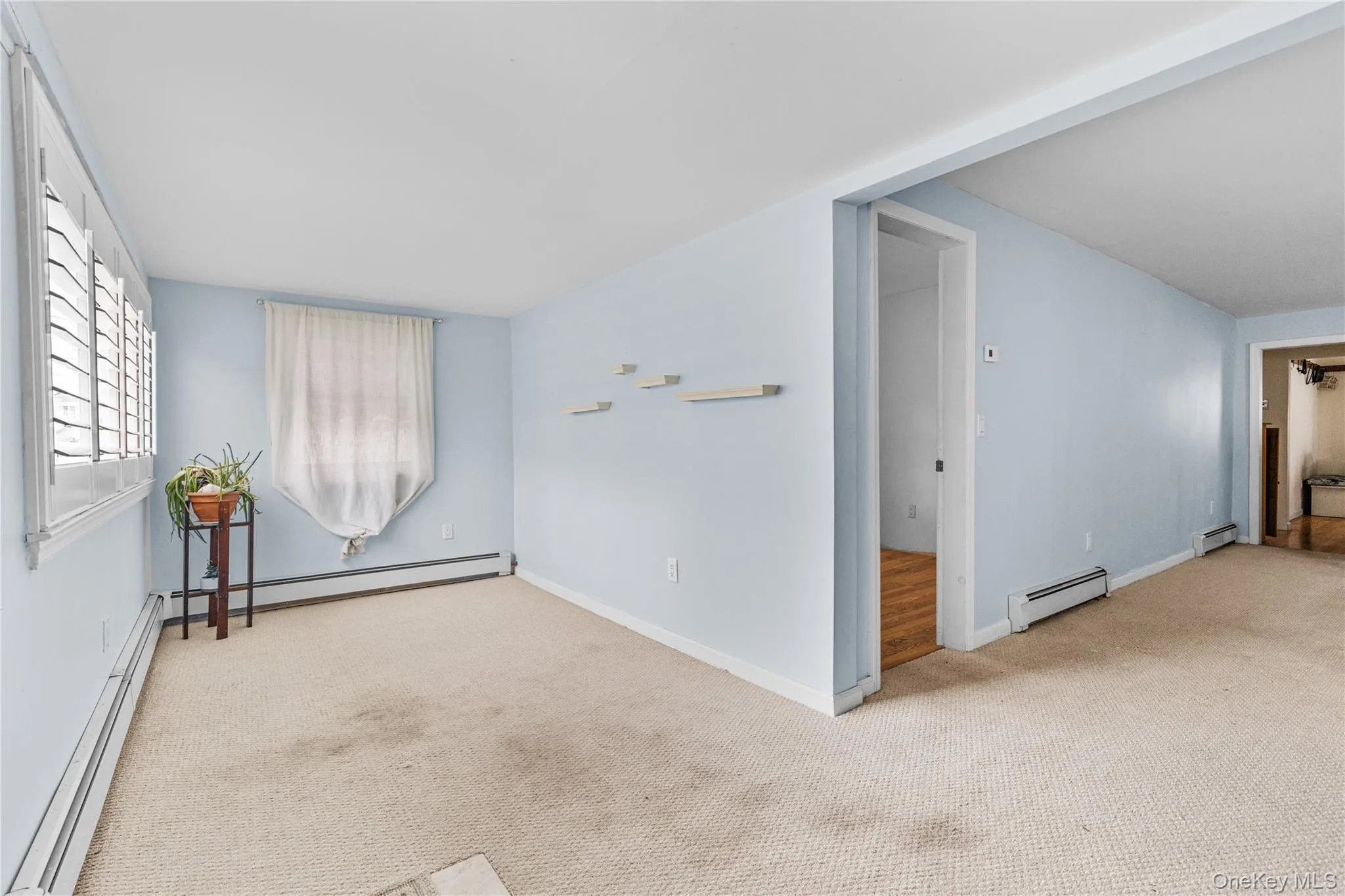 Unfurnished room with light colored carpet and a baseboard radiator Unfurnished room with light colored carpet and a baseboard radiator