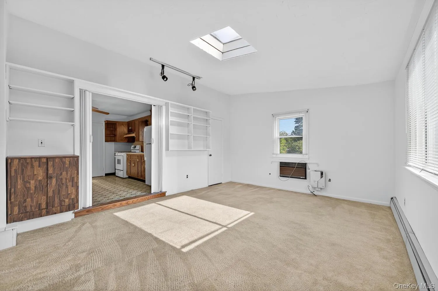 Unfurnished living room featuring a skylight, light colored carpet, and track lighting Unfurnished living room featuring a skylight, light colored carpet, and track lighting