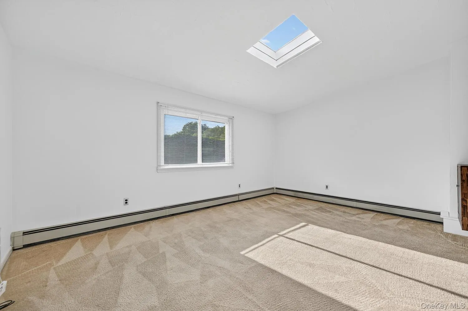 Living room with a skylight, light colored carpet Living room with a skylight, light colored carpet