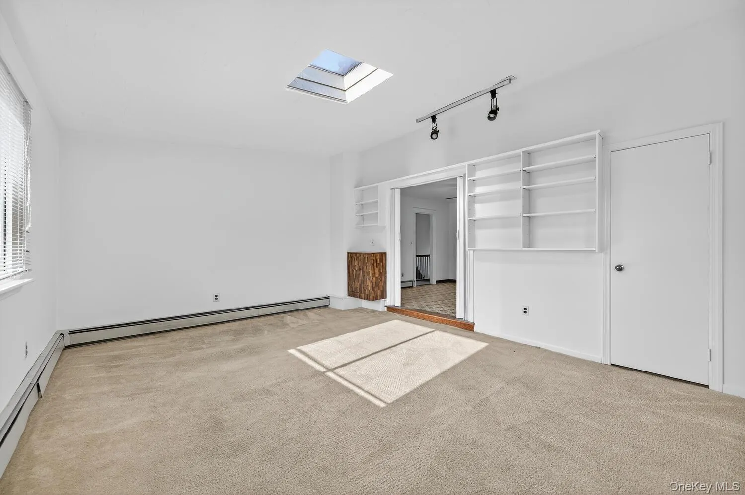 Living room with a skylight, rail lighting, and light carpet Living room with a skylight, rail lighting, and light carpet