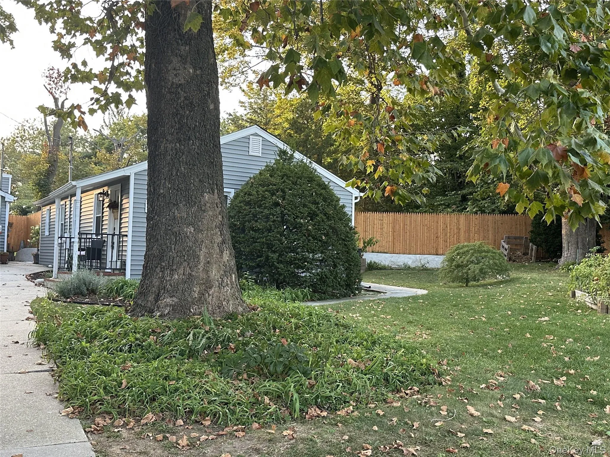 View of yard View of yard