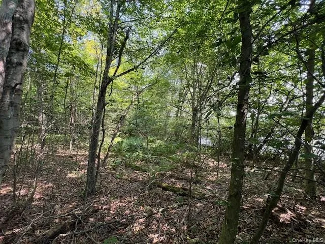 Lot 68 Shore Road, Liberty, NY, ,Land,For Rent,Shore,0,919099 Lot 68 Shore Road, Liberty, NY, ,Land,For Rent,Shore,0,919099