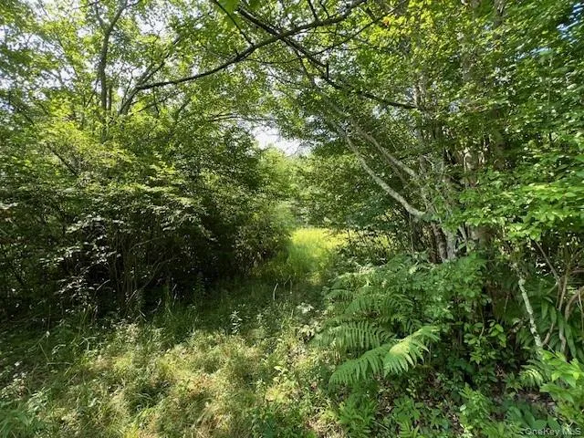 Lot 68 Shore Road, Liberty, NY, ,Land,For Rent,Shore,0,919099 Lot 68 Shore Road, Liberty, NY, ,Land,For Rent,Shore,0,919099