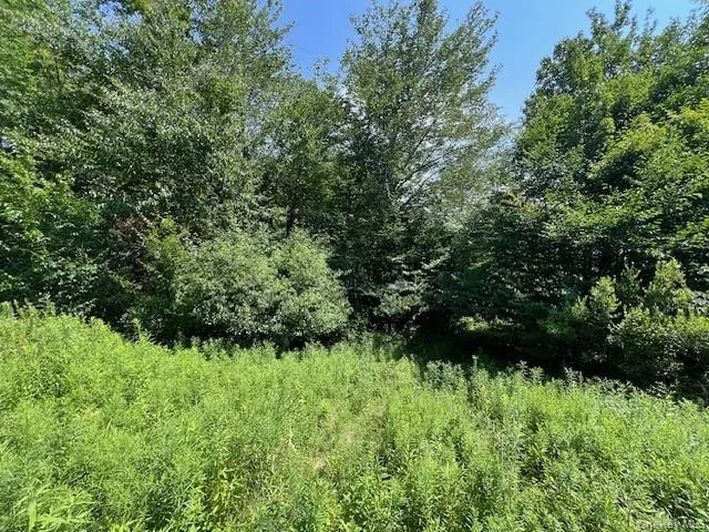 Lot 68 Shore Road, Liberty, NY, ,Land,For Rent,Shore,0,919099 Lot 68 Shore Road, Liberty, NY, ,Land,For Rent,Shore,0,919099
