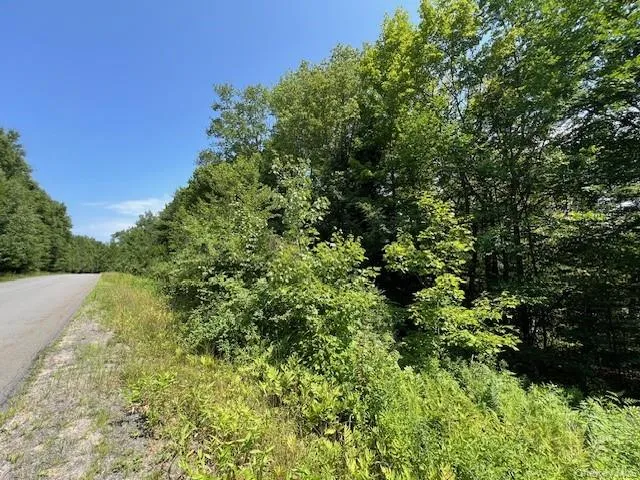 Lot 68 Shore Road, Liberty, NY, ,Land,For Rent,Shore,0,919099 Lot 68 Shore Road, Liberty, NY, ,Land,For Rent,Shore,0,919099