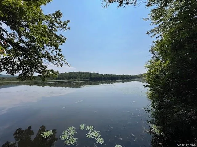 Lot 68 Shore Road, Liberty, NY, ,Land,For Rent,Shore,0,919099 Lot 68 Shore Road, Liberty, NY, ,Land,For Rent,Shore,0,919099